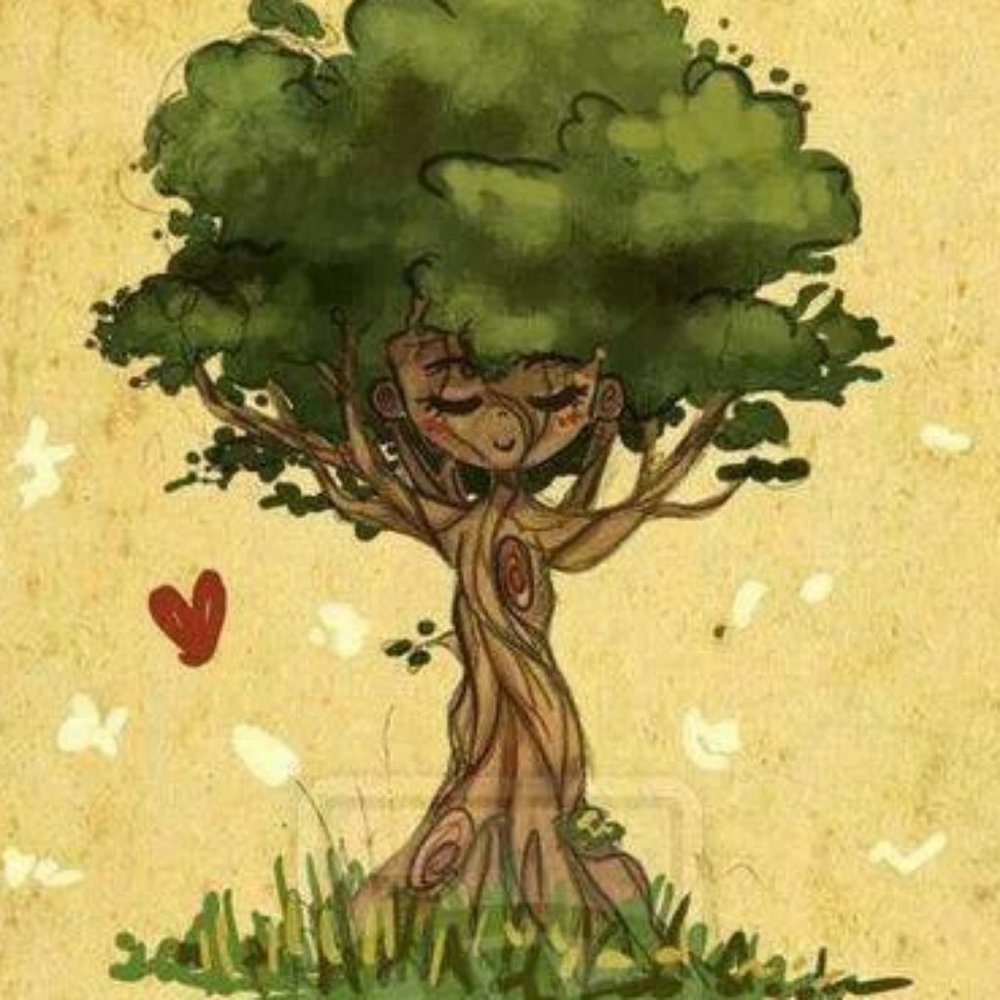 Meet your Posher, TeeJay